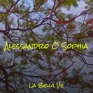 Alessandro O Sophia