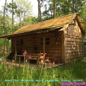 Beautiful Relaxing Music Pachelbel Forest Garden