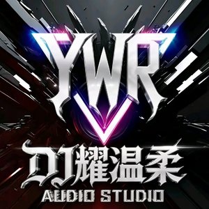 逝去的爱（DJ耀温柔版）