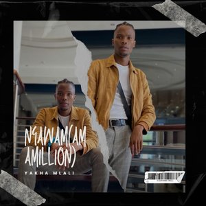 Ngawam (Amabillion)