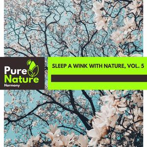 Ripple Water Effects