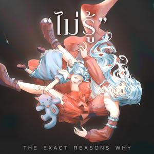 ไม่รู้ (The Exact Reasons Why) (Instrumental)