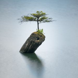 竹笛 清风 鸟鸣