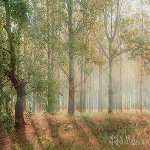 사랑하고 싶어요