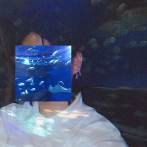 我很混乱的大脑