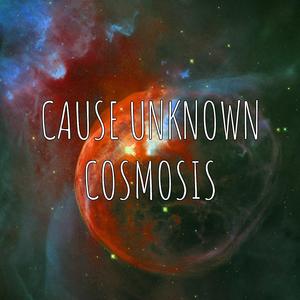 Cosmosis