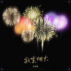 寂寞烟火（苏星婕）