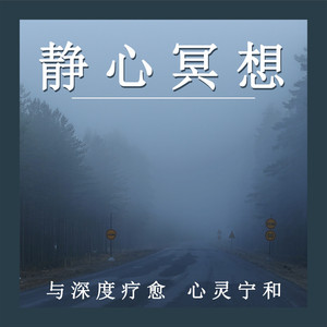 冥思静虑 (八音盒)