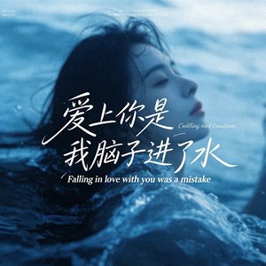 爱上你是我脑子进了水