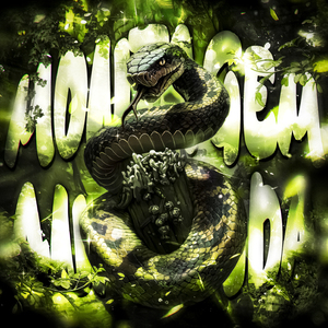 MONTAGEM ANACONDA