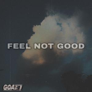 FEEL NOT GOOD