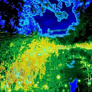 Les Lendemains Difformes