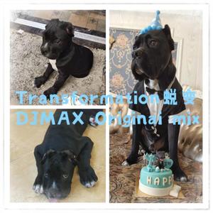 Transformation蜕变