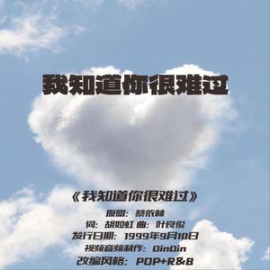 我知道你很难过