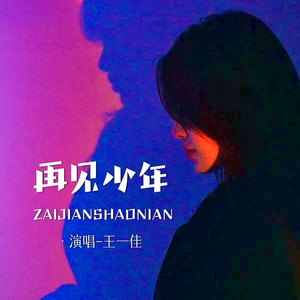 再见少年 (Live合唱版)