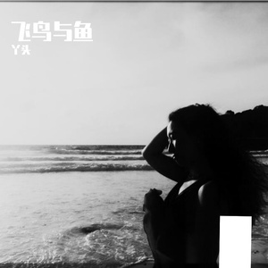 飞鸟与鱼