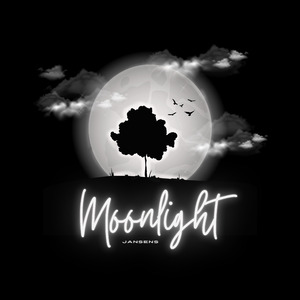 Dark Nights