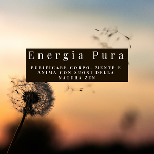 Purificare Corpo