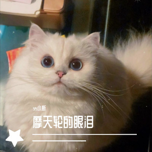 摩天轮的眼泪（翻自 创造101）