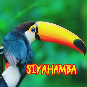 Siyahamba