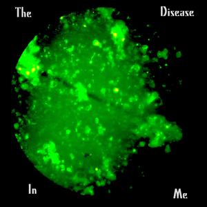 Everybody in the room (Live)