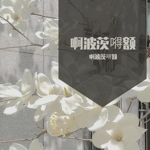 啊波茨嘚额