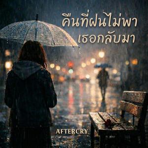 คืนที่ฝนไม่พาเธอกลับมา