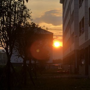 人走茶凉（翻自 安苏羽）