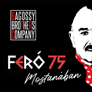 Mostanában (Feró 75)