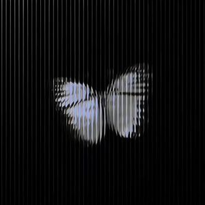 记忆锚点（prod by FRESH_ye）