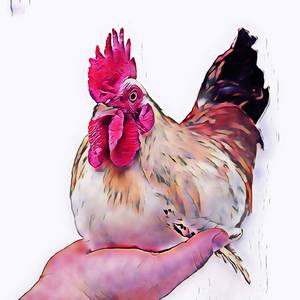 Painstaking Phenomenon