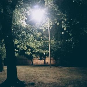 ruby/sapphire nuzlocke run