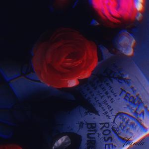 表里不一（HAVE TWO FACES）