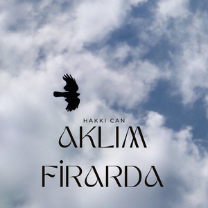 AKLIM FİRARDA