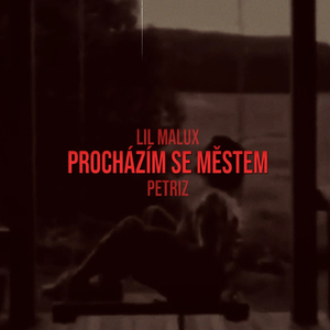 Procházím se městem