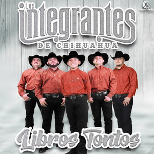 Libros Tontos