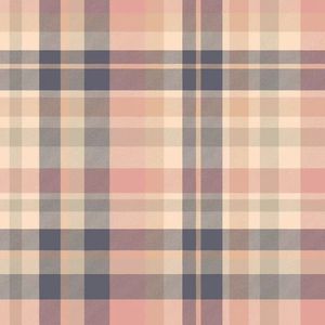 遇见你的时候所有星星都落到我头上