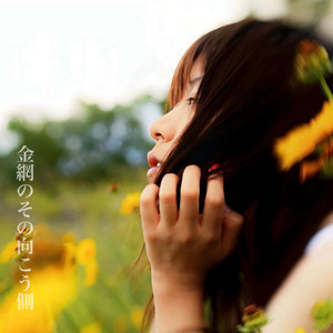 金網のその向こう側