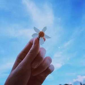 原来我的爱从不重要