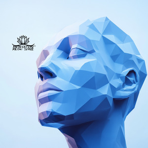 Peak Brain Performance