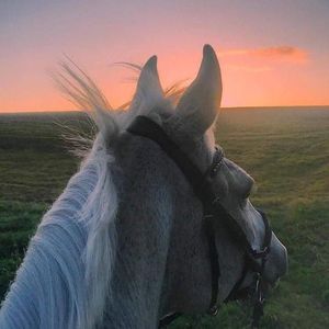 ALTAi潮音室（沙木哈 remix）