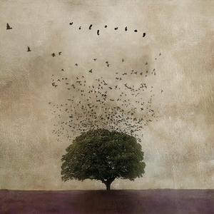 So Easy (To Fall In Love)