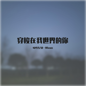 穿梭在我世界的你