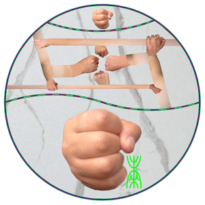 三十井人三十井有限公司团队队歌