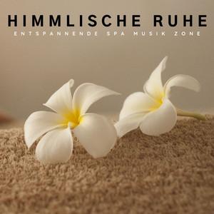 Schwerelose Gedanken
