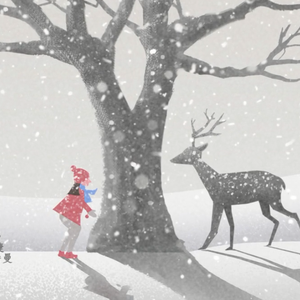 无问（Cover 毛不易）