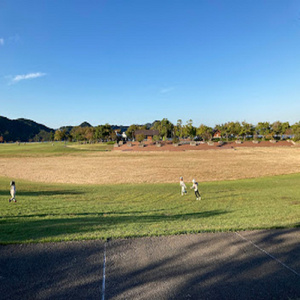 青と白のページ