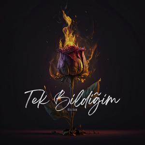 Tek Bildiğim