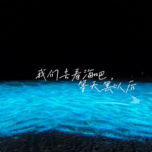 我们去看海吧，等天黑以后