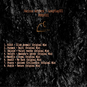 Valuri vazute (Original Mix)